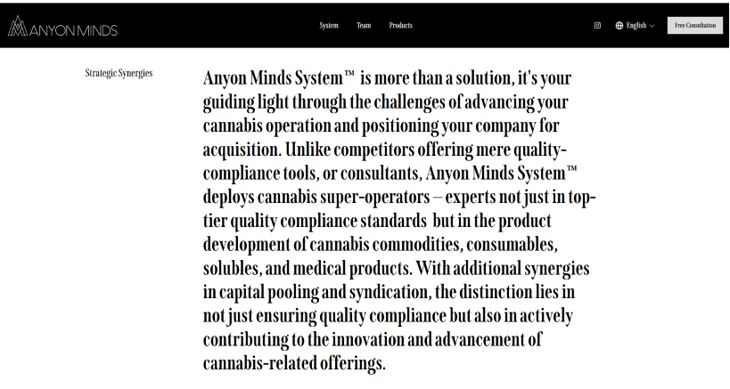 Чрезвычайно «ясное» изложение стратегии Anyon Minds