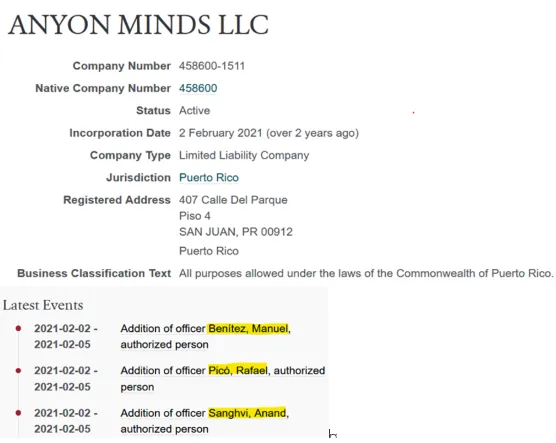 Реквизиты Anyon Minds