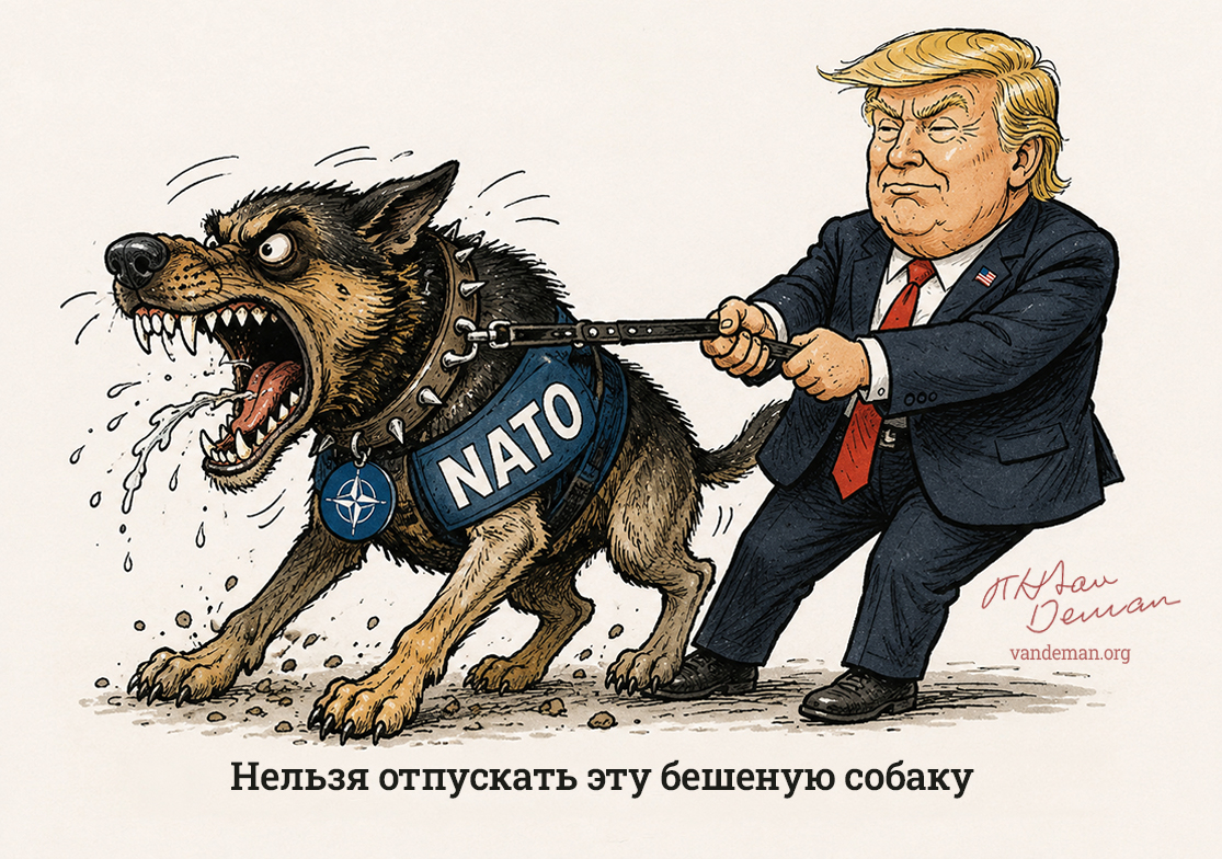 Нельзя отпускать эту бешеную собаку
