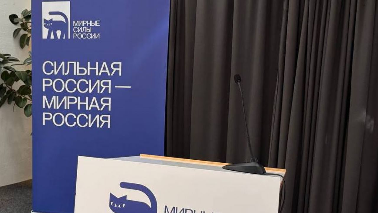 За кулисами проекта "Мирная Россия" – БНД